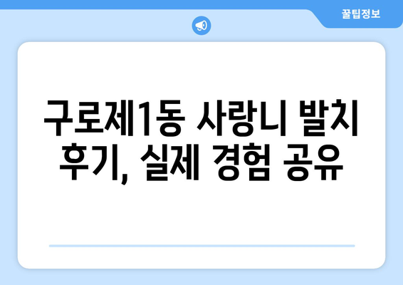 서울시 구로구 구로제1동 사랑니 치과 매복 발치 잘하는 곳 비용 | 후기 | 추천