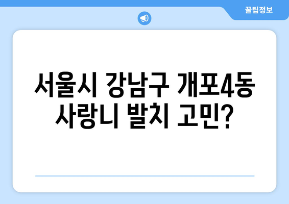 서울시 강남구 개포4동 사랑니 치과 매복 발치 잘하는 곳 비용 | 후기 | 추천