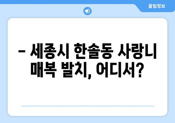 세종시 세종특별자치시 한솔동 사랑니 치과 매복 발치 잘하는 곳 비용 | 후기 | 추천