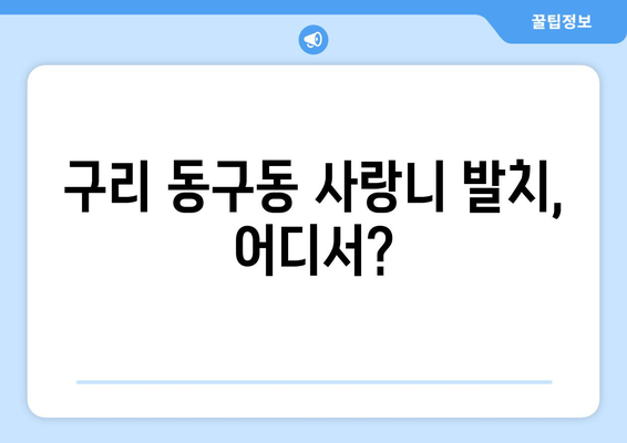 경기도 구리시 동구동 사랑니 치과 매복 발치 잘하는 곳 비용 | 후기 | 추천