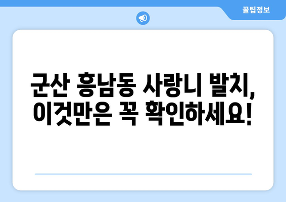 전라북도 군산시 흥남동 사랑니 치과 매복 발치 잘하는 곳 비용 | 후기 | 추천
