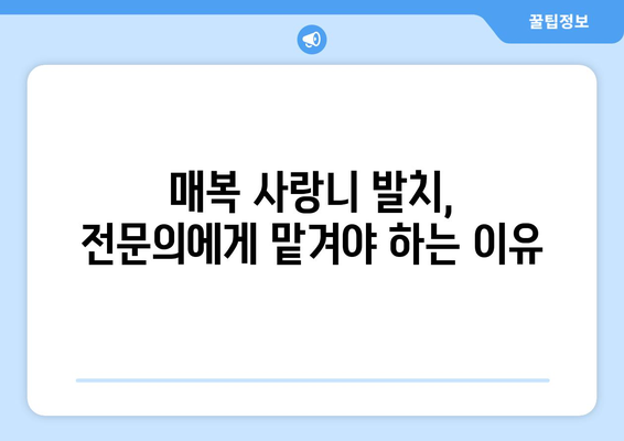 서울시 강남구 수서동 사랑니 치과 매복 발치 잘하는 곳 비용 | 후기 | 추천