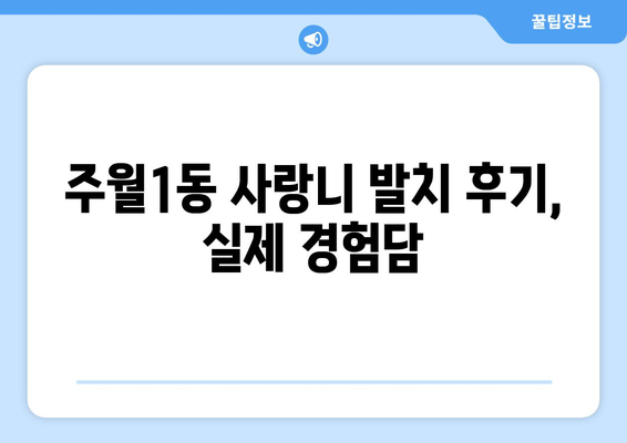광주시 남구 주월1동 사랑니 치과 매복 발치 잘하는 곳 비용 | 후기 | 추천