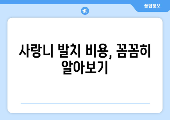 부산시 영도구 동삼3동 사랑니 치과 매복 발치 잘하는 곳 비용 | 후기 | 추천
