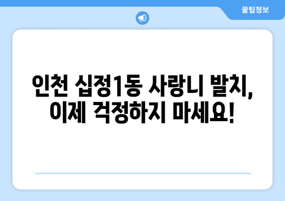 인천시 부평구 십정1동 사랑니 치과 매복 발치 잘하는 곳 비용 | 후기 | 추천