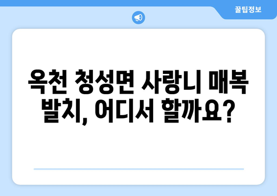 충청북도 옥천군 청성면 사랑니 치과 매복 발치 잘하는 곳 비용 | 후기 | 추천