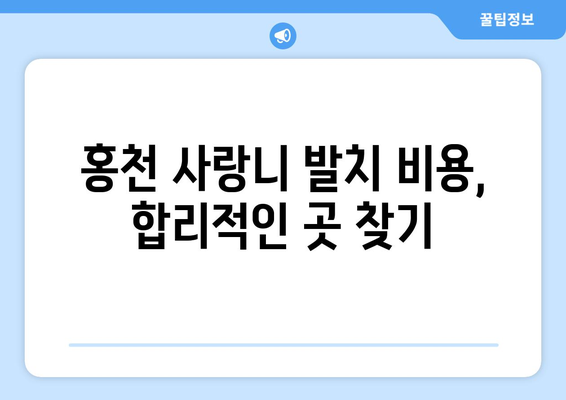 강원도 홍천군 홍천읍 사랑니 치과 매복 발치 잘하는 곳 비용 | 후기 | 추천