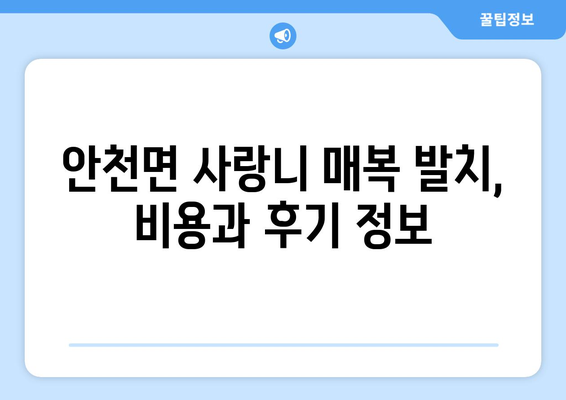 전라북도 진안군 안천면 사랑니 치과 매복 발치 잘하는 곳 비용 | 후기 | 추천
