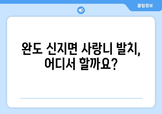 전라남도 완도군 신지면 사랑니 치과 매복 발치 잘하는 곳 비용 | 후기 | 추천