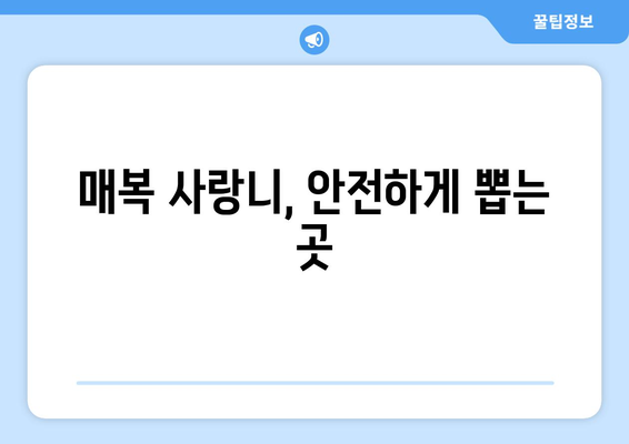 충청남도 청양군 대치면 사랑니 치과 매복 발치 잘하는 곳 비용 | 후기 | 추천
