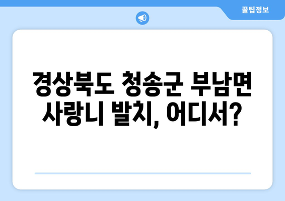 경상북도 청송군 부남면 사랑니 치과 매복 발치 잘하는 곳 비용 | 후기 | 추천