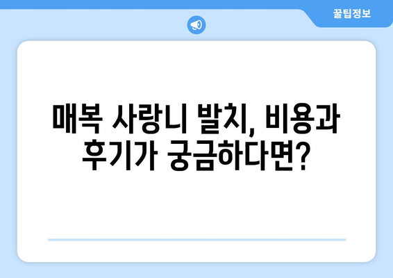 전라남도 해남군 현산면 사랑니 치과 매복 발치 잘하는 곳 비용 | 후기 | 추천