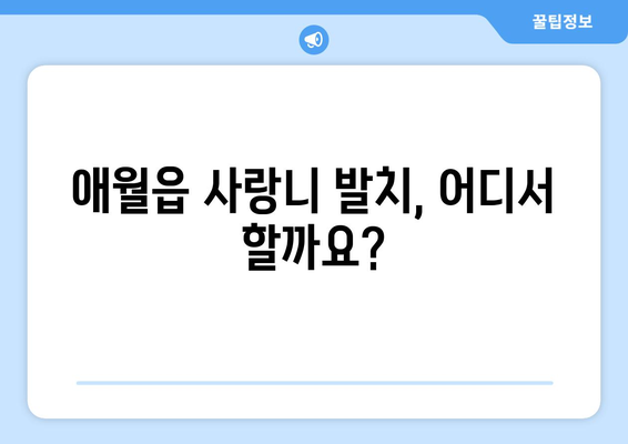 제주도 제주시 애월읍 사랑니 치과 매복 발치 잘하는 곳 비용 | 후기 | 추천