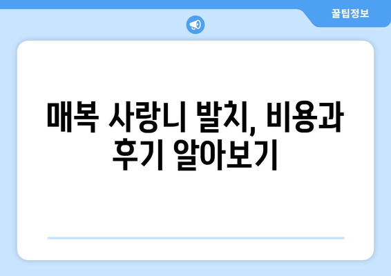 충청남도 부여군 홍산면 사랑니 치과 매복 발치 잘하는 곳 비용 | 후기 | 추천