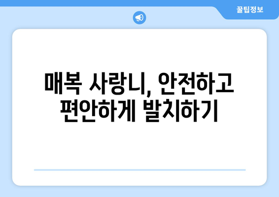 대구시 동구 불로·봉무동 사랑니 치과 매복 발치 잘하는 곳 비용 | 후기 | 추천