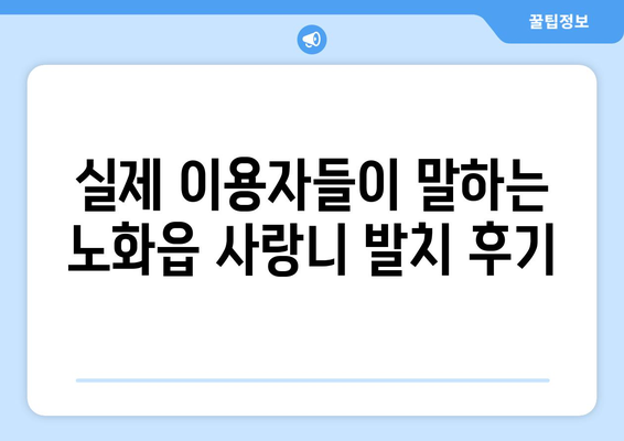 전라남도 완도군 노화읍 사랑니 치과 매복 발치 잘하는 곳 비용 | 후기 | 추천