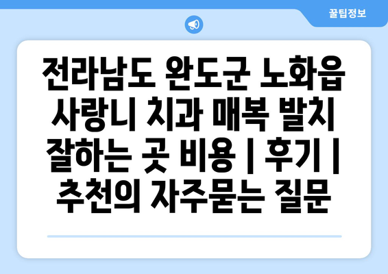 전라남도 완도군 노화읍 사랑니 치과 매복 발치 잘하는 곳 비용 | 후기 | 추천