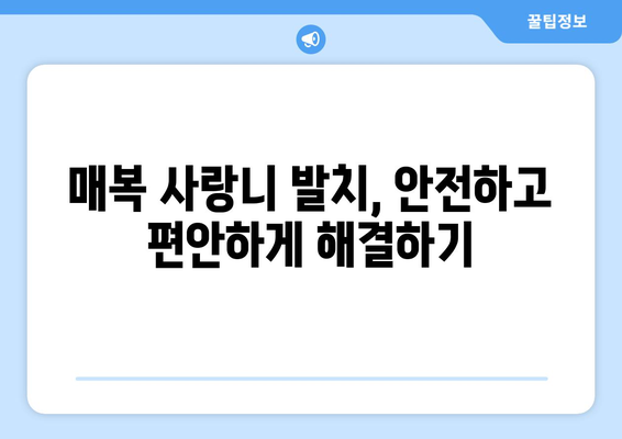 충청남도 서산시 석림동 사랑니 치과 매복 발치 잘하는 곳 비용 | 후기 | 추천