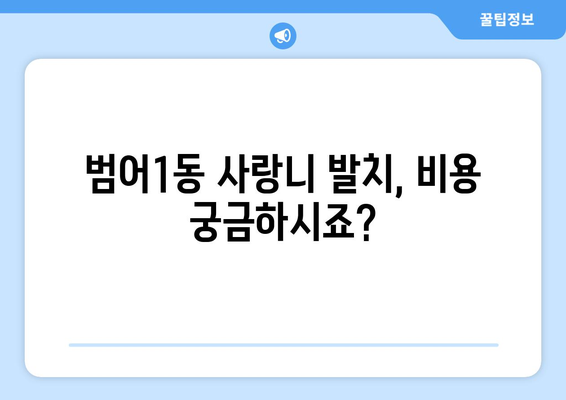 대구시 수성구 범어1동 사랑니 치과 매복 발치 잘하는 곳 비용 | 후기 | 추천