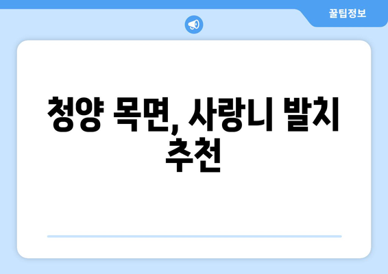 충청남도 청양군 목면 사랑니 치과 매복 발치 잘하는 곳 비용 | 후기 | 추천