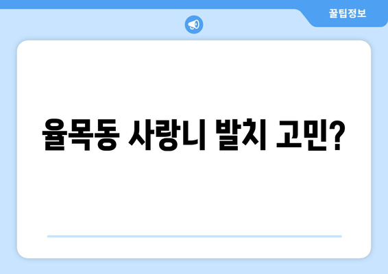 인천시 중구 율목동 사랑니 치과 매복 발치 잘하는 곳 비용 | 후기 | 추천