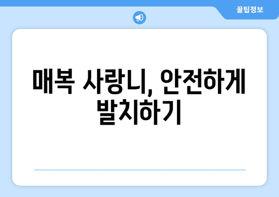 인천시 중구 율목동 사랑니 치과 매복 발치 잘하는 곳 비용 | 후기 | 추천