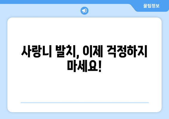 전라남도 목포시 죽교동 사랑니 치과 매복 발치 잘하는 곳 비용 | 후기 | 추천