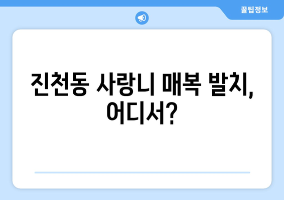대구시 달서구 진천동 사랑니 치과 매복 발치 잘하는 곳 비용 | 후기 | 추천
