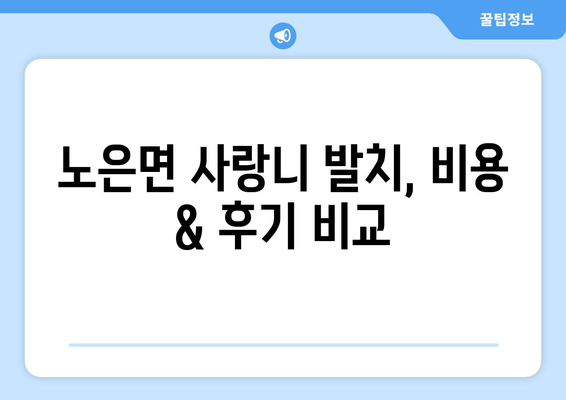 충청북도 충주시 노은면 사랑니 치과 매복 발치 잘하는 곳 비용 | 후기 | 추천