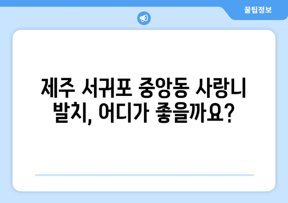 제주도 서귀포시 중앙동 사랑니 치과 매복 발치 잘하는 곳 비용 | 후기 | 추천
