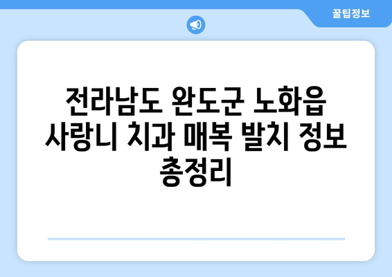 전라남도 완도군 노화읍 사랑니 치과 매복 발치 잘하는 곳 비용 | 후기 | 추천
