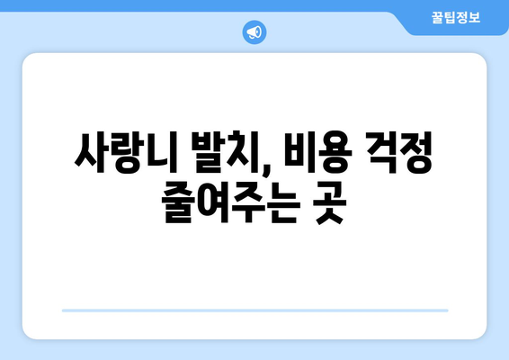 제주도 서귀포시 동홍동 사랑니 치과 매복 발치 잘하는 곳 비용 | 후기 | 추천