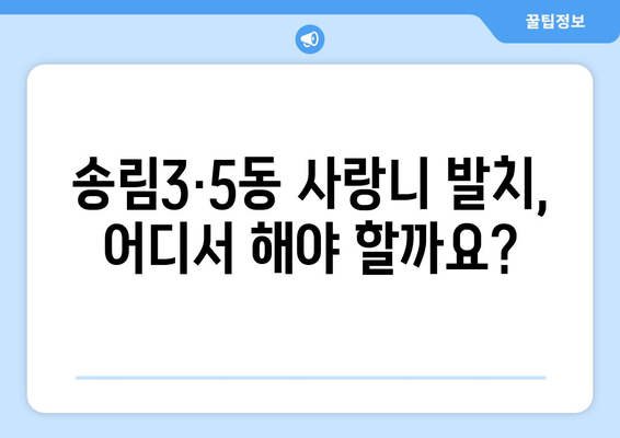 인천시 동구 송림3·5동 사랑니 치과 매복 발치 잘하는 곳 비용 | 후기 | 추천