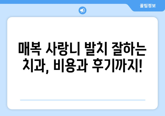 충청남도 부여군 초촌면 사랑니 치과 매복 발치 잘하는 곳 비용 | 후기 | 추천