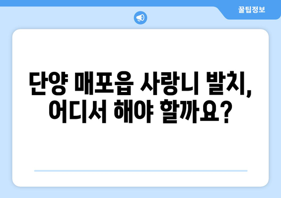 충청북도 단양군 매포읍 사랑니 치과 매복 발치 잘하는 곳 비용 | 후기 | 추천
