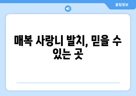 전라북도 군산시 중앙동 사랑니 치과 매복 발치 잘하는 곳 비용 | 후기 | 추천