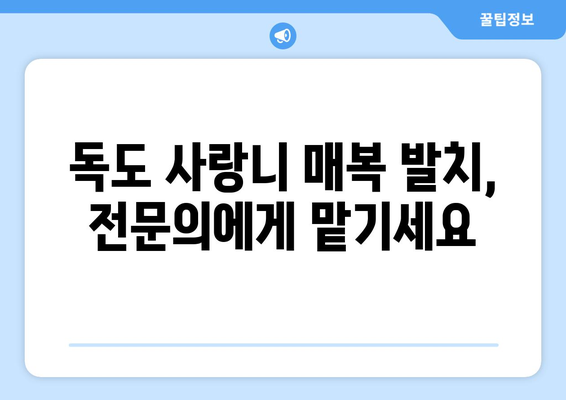 경상북도 울릉군 독도 사랑니 치과 매복 발치 잘하는 곳 비용 | 후기 | 추천