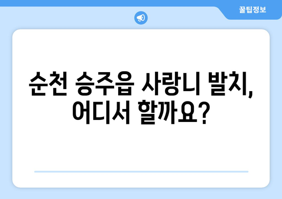 전라남도 순천시 승주읍 사랑니 치과 매복 발치 잘하는 곳 비용 | 후기 | 추천