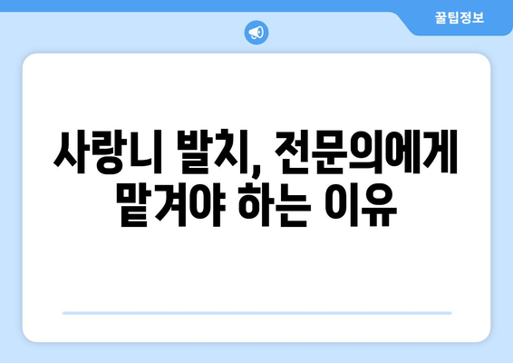 전라남도 해남군 마산면 사랑니 치과 매복 발치 잘하는 곳 비용 | 후기 | 추천