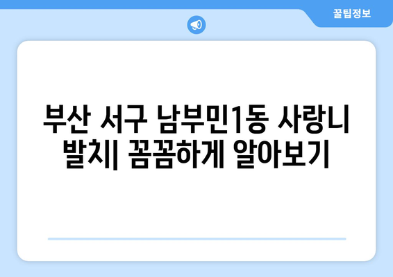 부산시 서구 남부민1동 사랑니 치과 매복 발치 잘하는 곳 비용 | 후기 | 추천