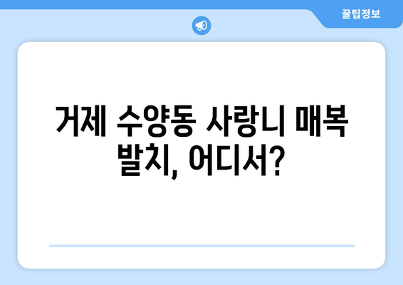 경상남도 거제시 수양동 사랑니 치과 매복 발치 잘하는 곳 비용 | 후기 | 추천