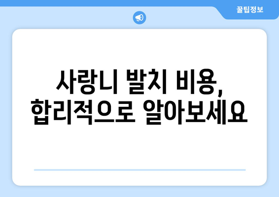 강원도 정선군 여량면 사랑니 치과 매복 발치 잘하는 곳 비용 | 후기 | 추천