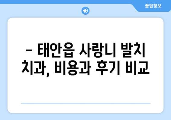 충청남도 태안군 태안읍 사랑니 치과 매복 발치 잘하는 곳 비용 | 후기 | 추천