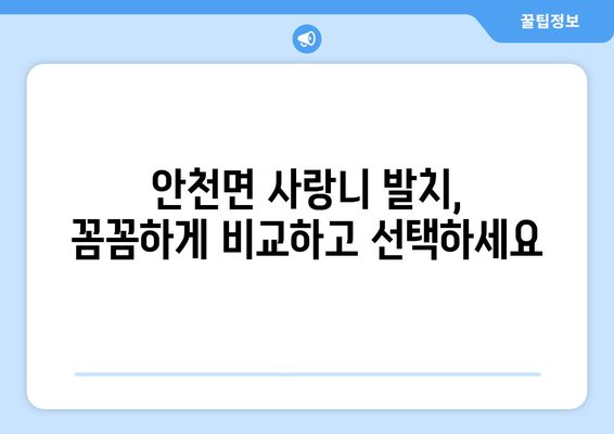 전라북도 진안군 안천면 사랑니 치과 매복 발치 잘하는 곳 비용 | 후기 | 추천