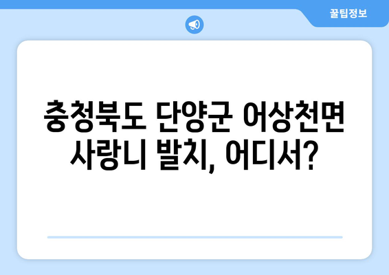 충청북도 단양군 어상천면 사랑니 치과 매복 발치 잘하는 곳 비용 | 후기 | 추천