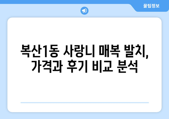 울산시 중구 복산1동 사랑니 치과 매복 발치 잘하는 곳 비용 | 후기 | 추천