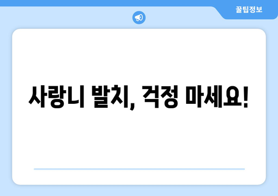 경상남도 김해시 대동면 사랑니 치과 매복 발치 잘하는 곳 비용 | 후기 | 추천