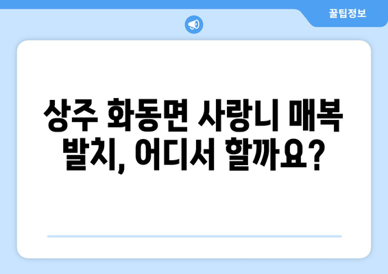 경상북도 상주시 화동면 사랑니 치과 매복 발치 잘하는 곳 비용 | 후기 | 추천