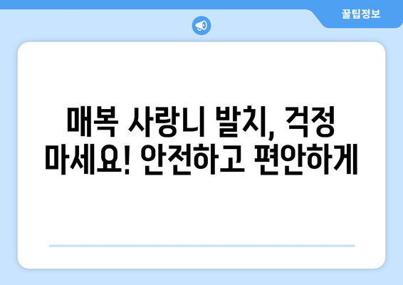 경상북도 상주시 화동면 사랑니 치과 매복 발치 잘하는 곳 비용 | 후기 | 추천