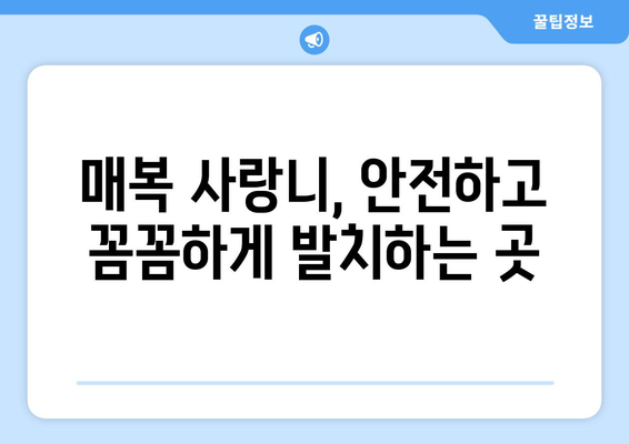 부산시 남구 용당동 사랑니 치과 매복 발치 잘하는 곳 비용 | 후기 | 추천